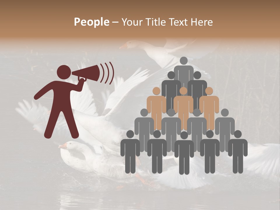 A Flight Of White Geese PowerPoint Template
