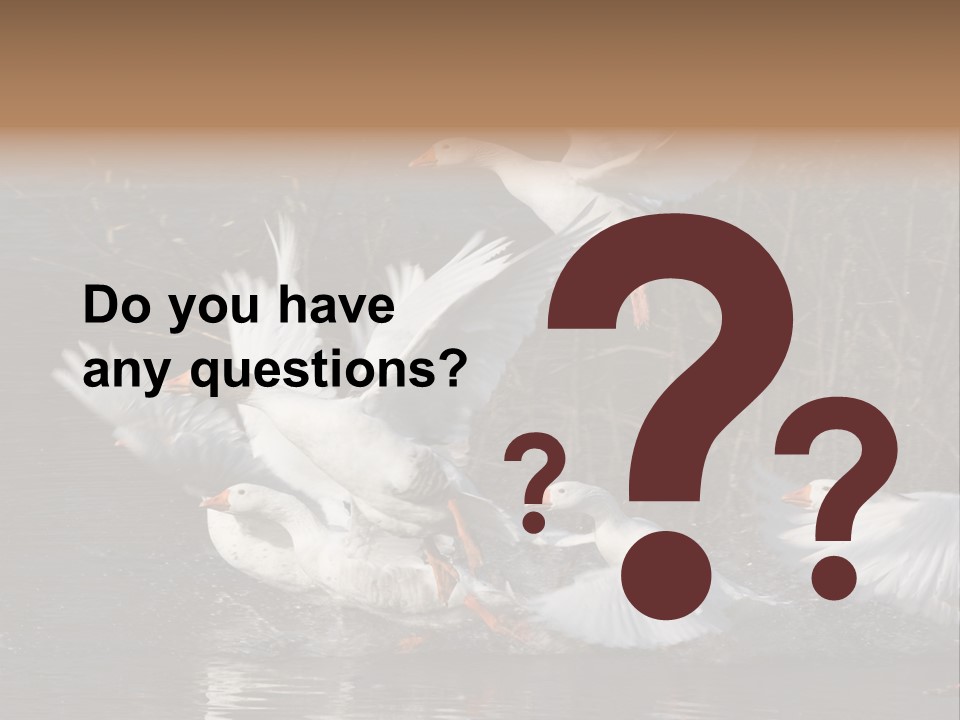 A Flight Of White Geese PowerPoint Template