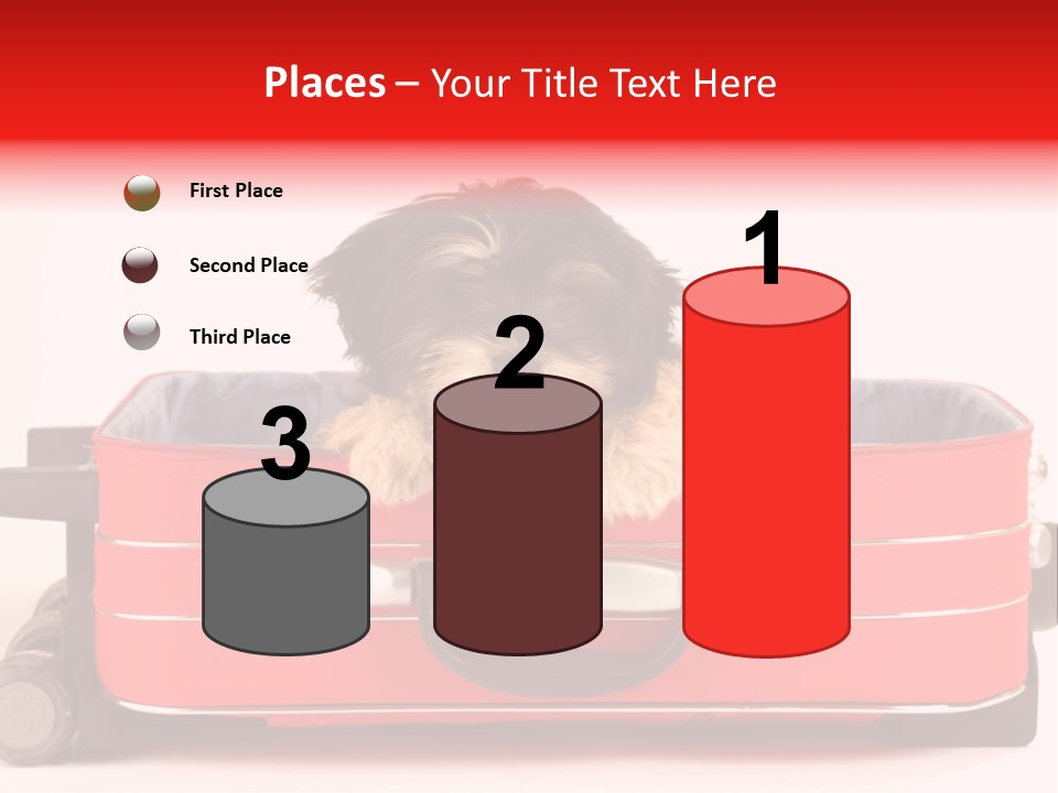 Puppy In The Suitcase PowerPoint Template