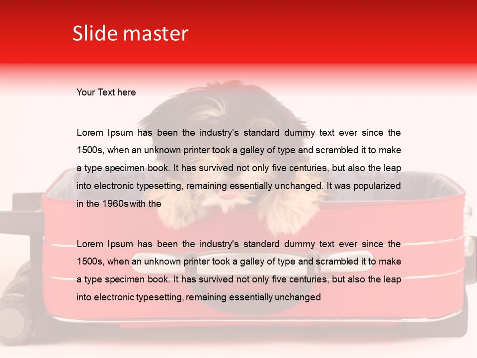 Puppy In The Suitcase PowerPoint Template