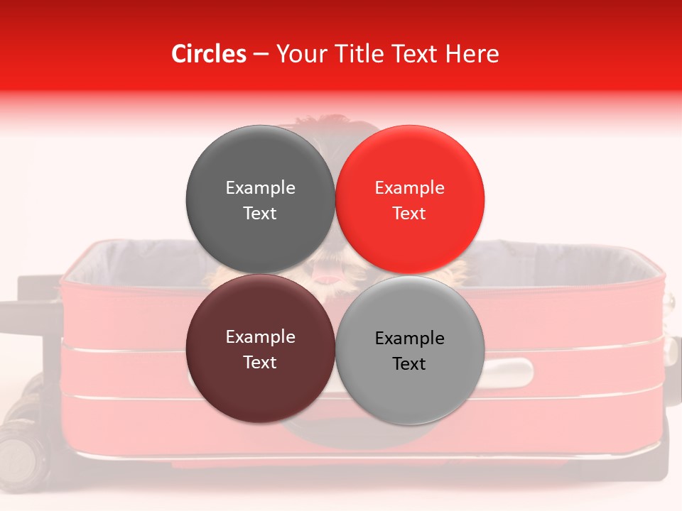 Puppy In The Suitcase PowerPoint Template