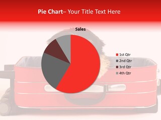 Puppy In The Suitcase PowerPoint Template
