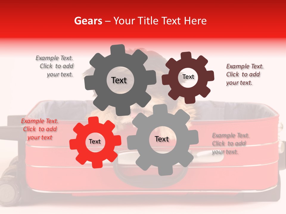 Puppy In The Suitcase PowerPoint Template