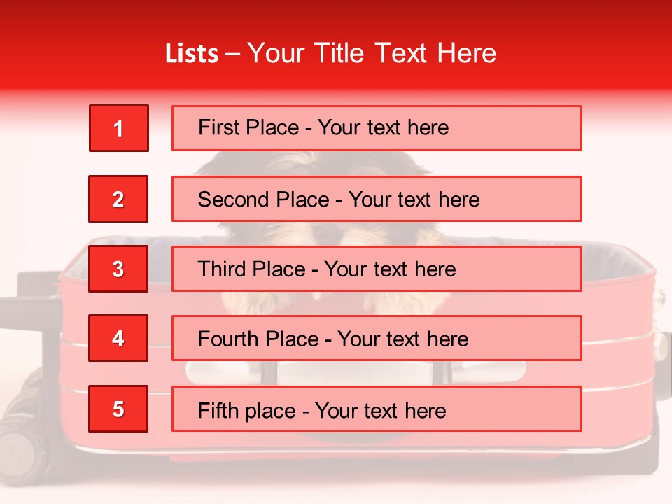 Puppy In The Suitcase PowerPoint Template