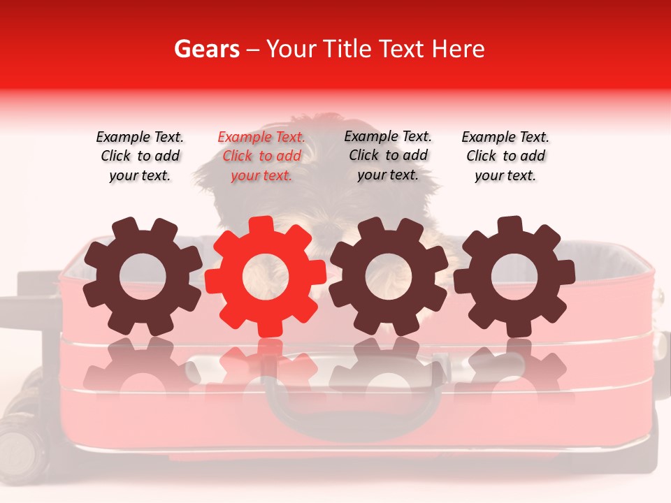 Puppy In The Suitcase PowerPoint Template