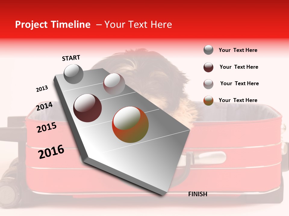 Puppy In The Suitcase PowerPoint Template