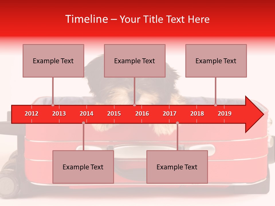 Puppy In The Suitcase PowerPoint Template