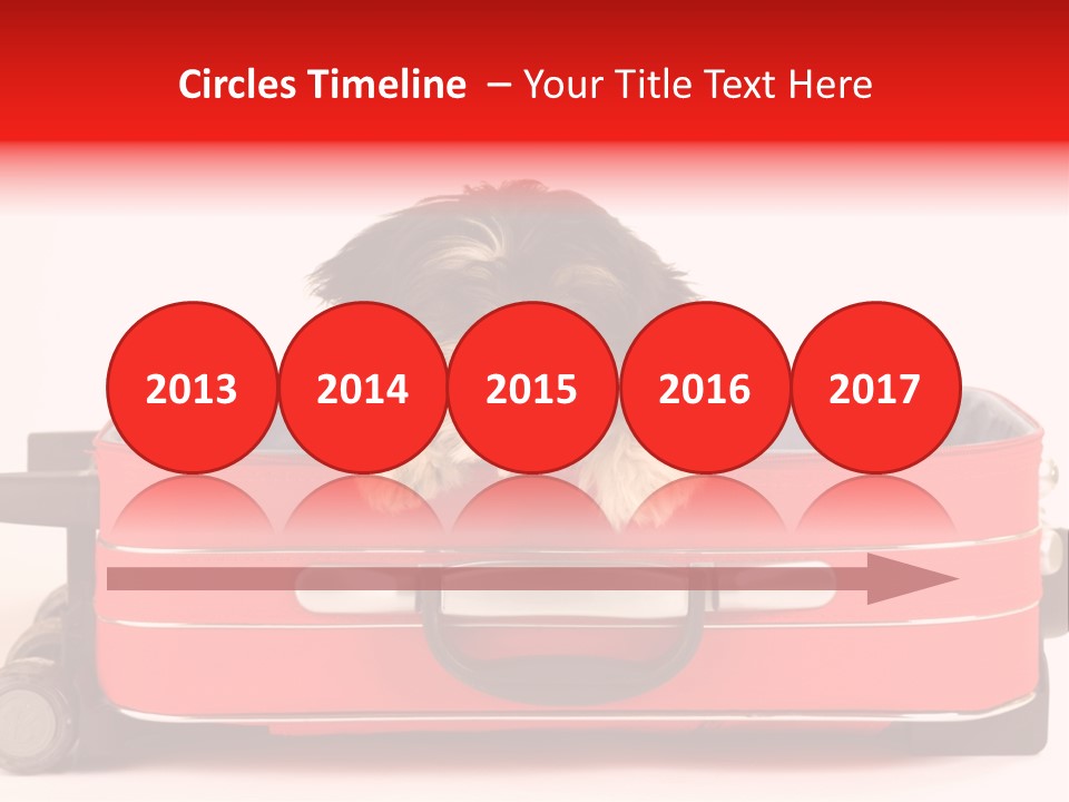 Puppy In The Suitcase PowerPoint Template