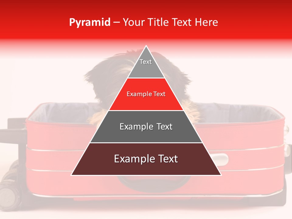 Puppy In The Suitcase PowerPoint Template