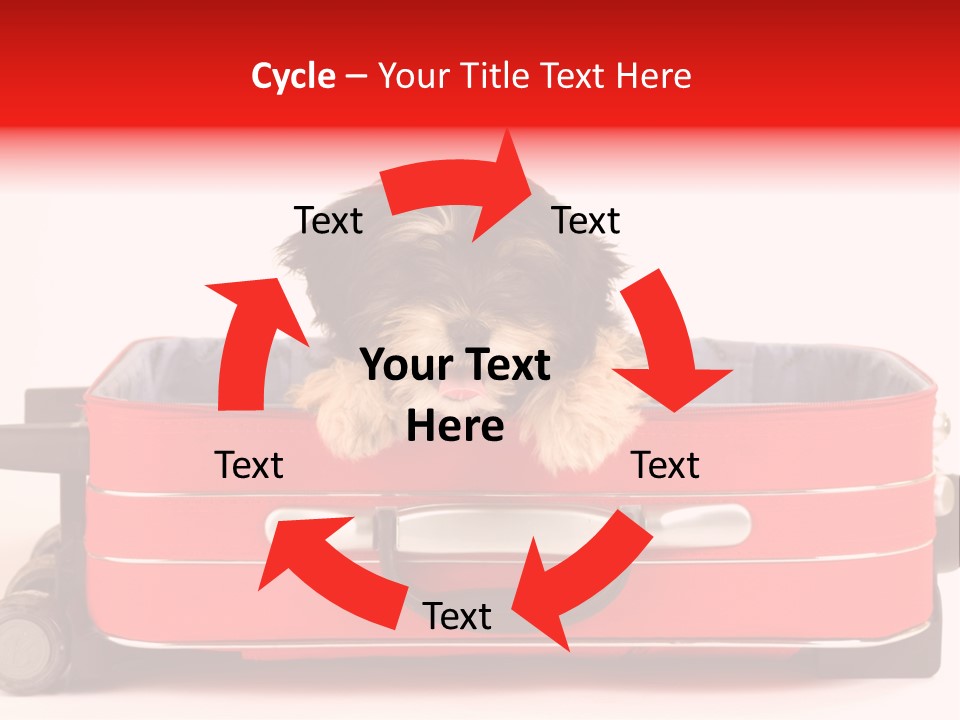 Puppy In The Suitcase PowerPoint Template