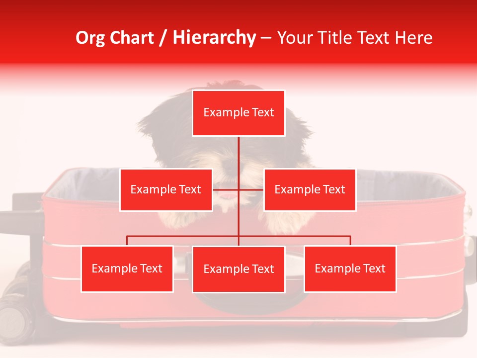 Puppy In The Suitcase PowerPoint Template
