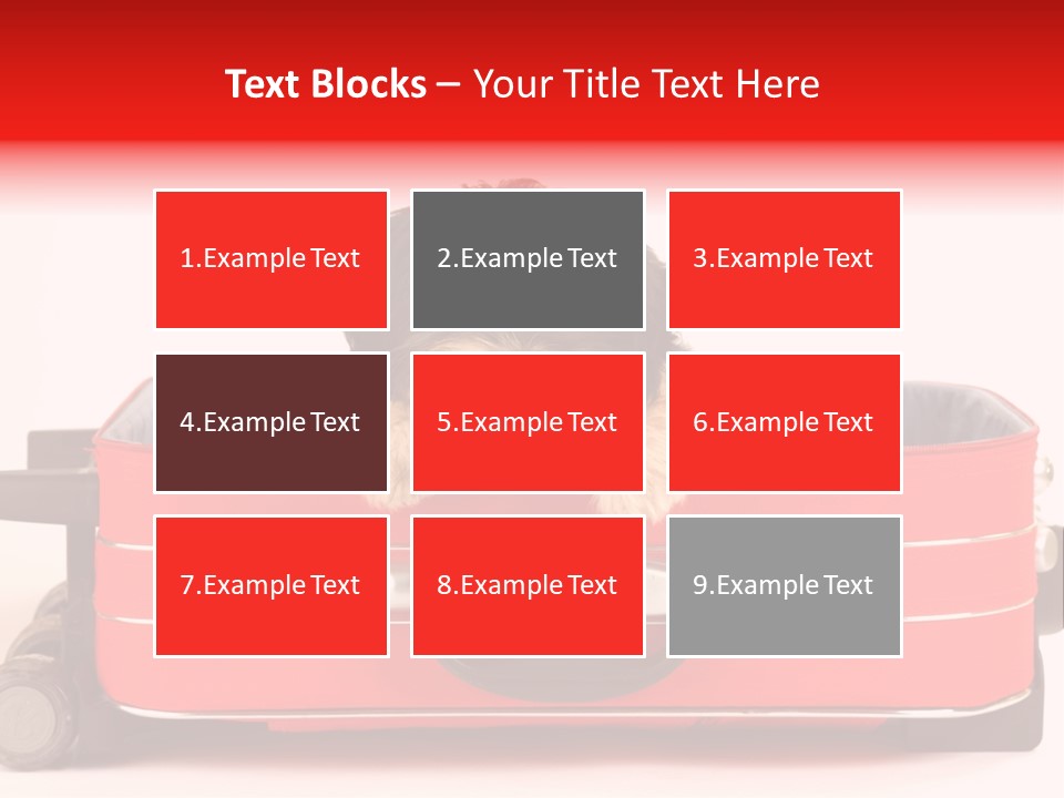Puppy In The Suitcase PowerPoint Template