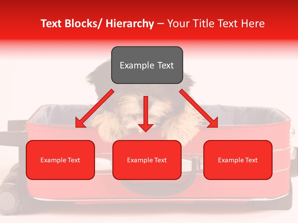 Puppy In The Suitcase PowerPoint Template
