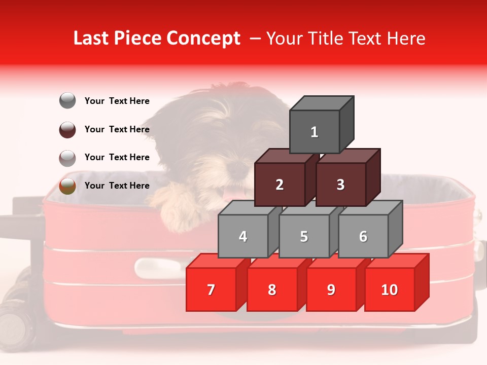 Puppy In The Suitcase PowerPoint Template