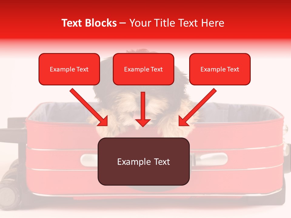 Puppy In The Suitcase PowerPoint Template