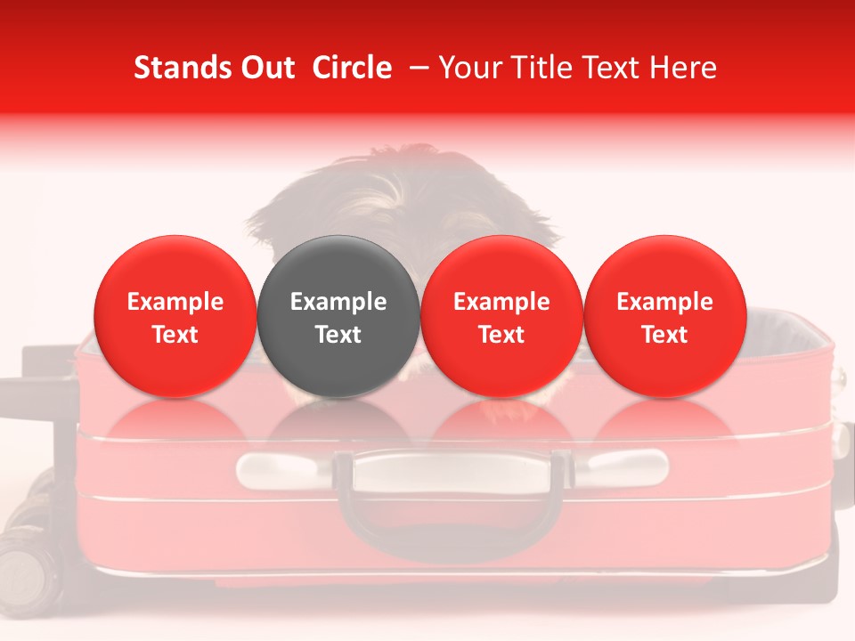 Puppy In The Suitcase PowerPoint Template