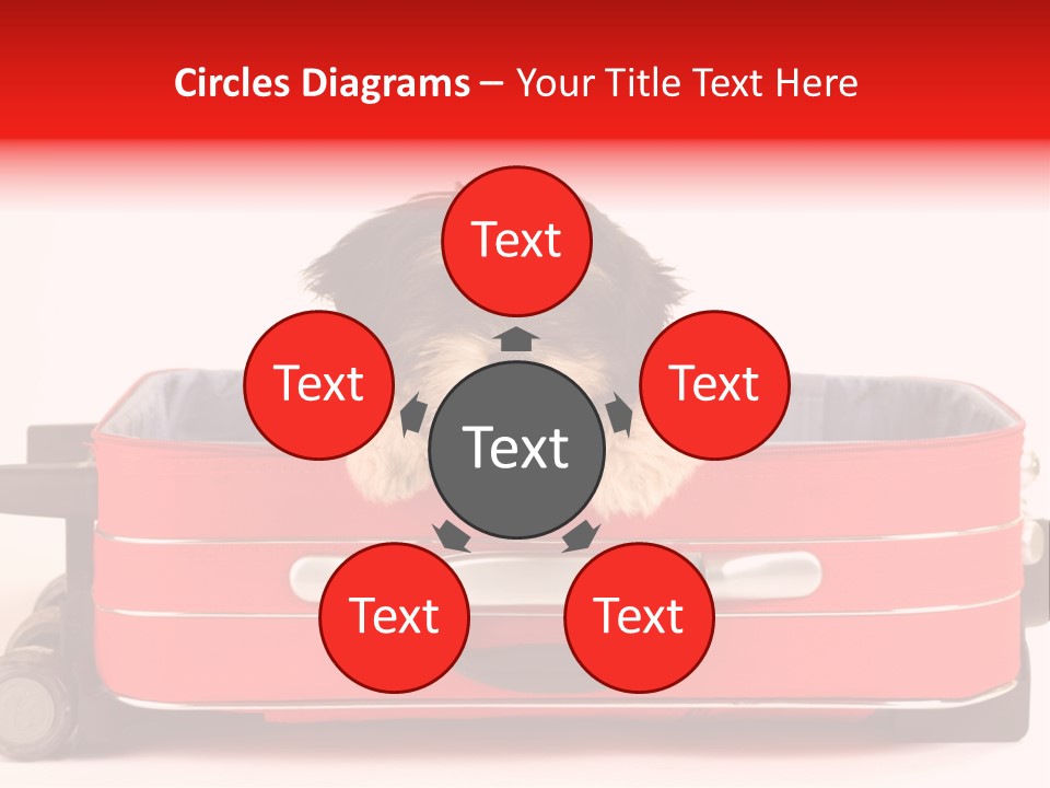 Puppy In The Suitcase PowerPoint Template