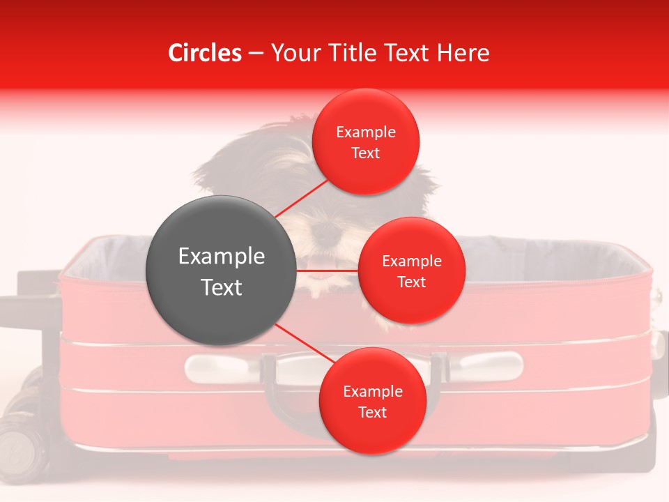 Puppy In The Suitcase PowerPoint Template