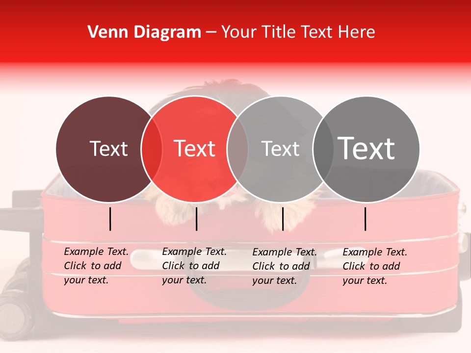 Puppy In The Suitcase PowerPoint Template