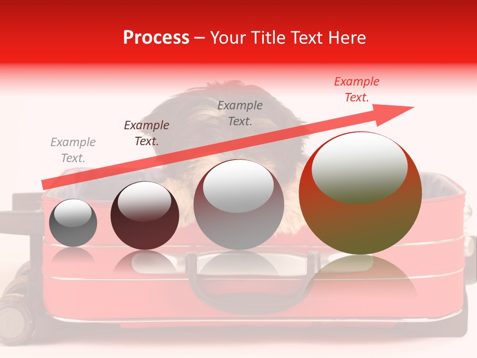 Puppy In The Suitcase PowerPoint Template