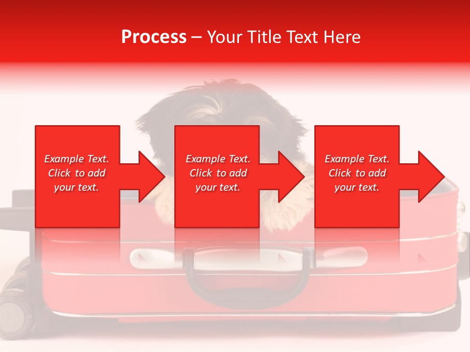 Puppy In The Suitcase PowerPoint Template