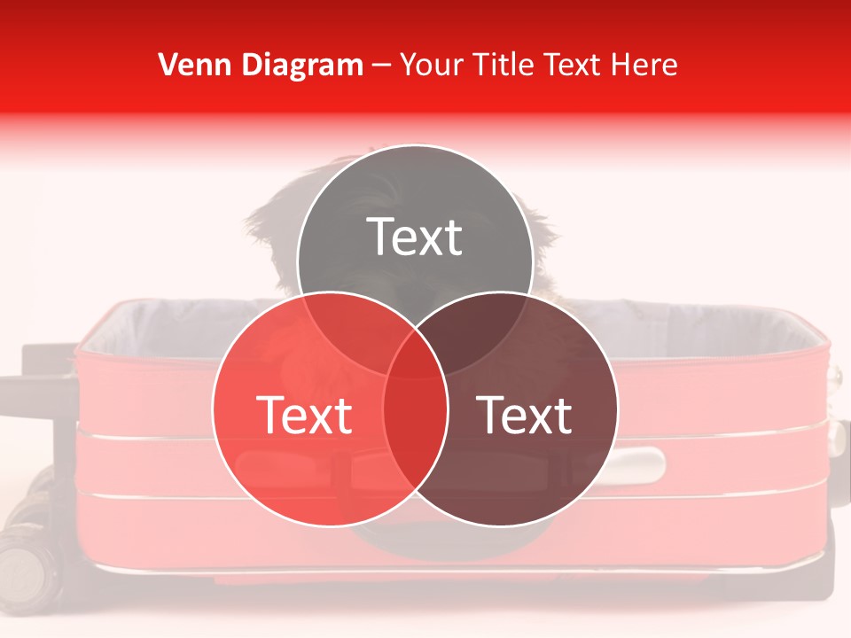 Puppy In The Suitcase PowerPoint Template