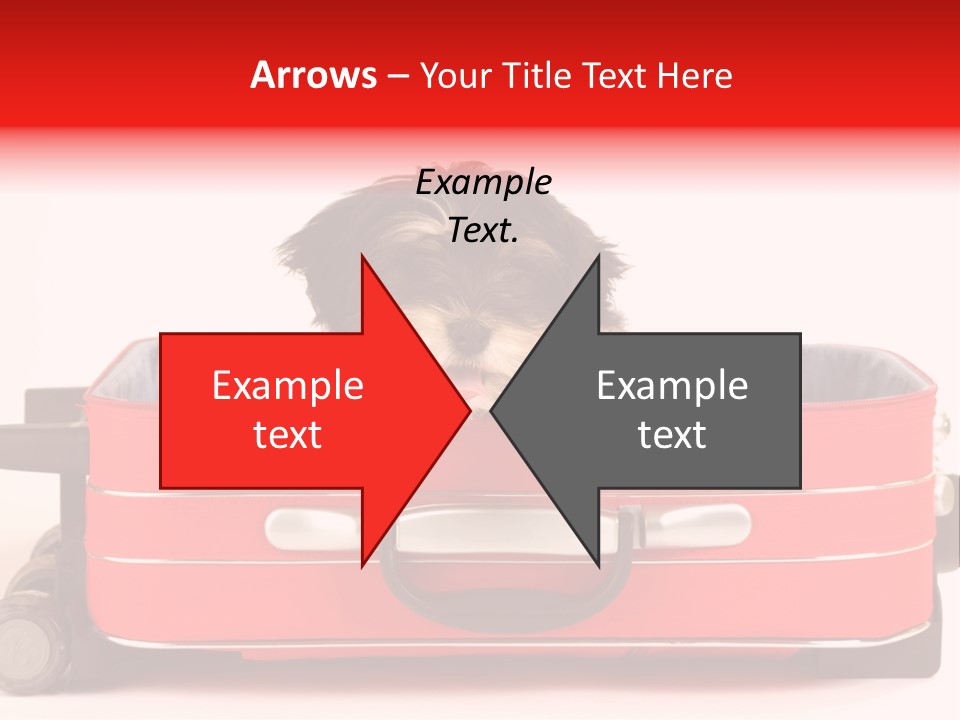 Puppy In The Suitcase PowerPoint Template