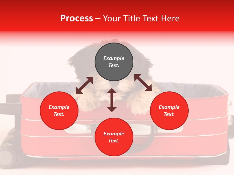 Puppy In The Suitcase PowerPoint Template