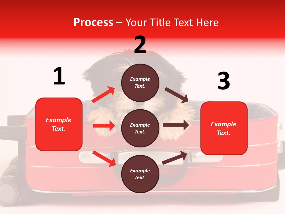 Puppy In The Suitcase PowerPoint Template