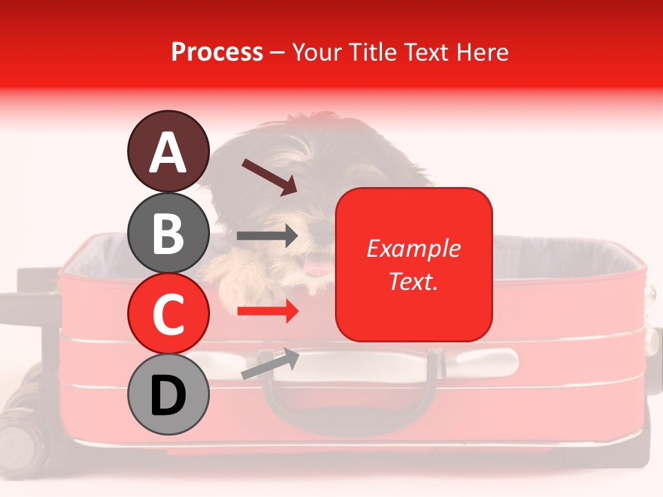 Puppy In The Suitcase PowerPoint Template