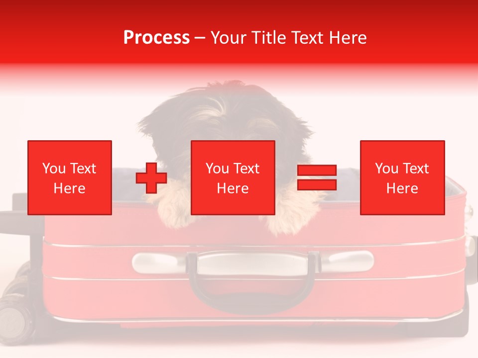 Puppy In The Suitcase PowerPoint Template