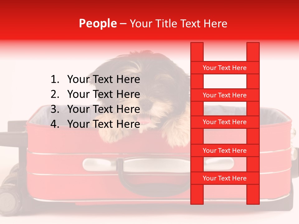 Puppy In The Suitcase PowerPoint Template