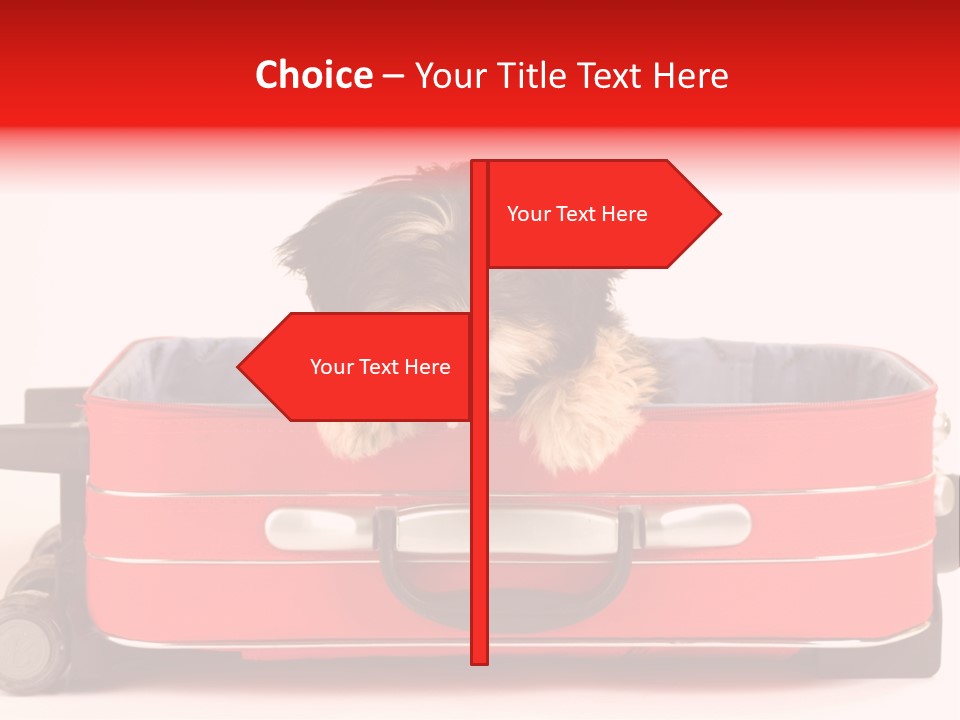 Puppy In The Suitcase PowerPoint Template