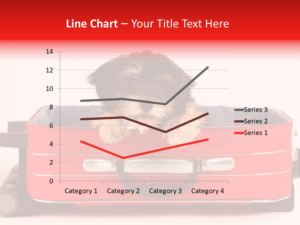 Puppy In The Suitcase PowerPoint Template