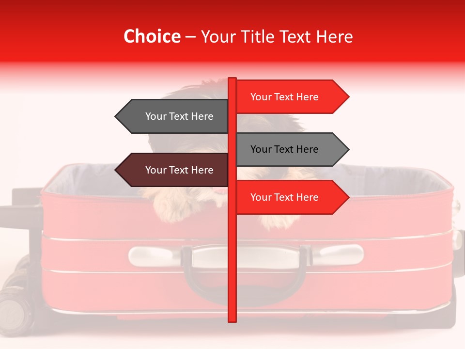 Puppy In The Suitcase PowerPoint Template