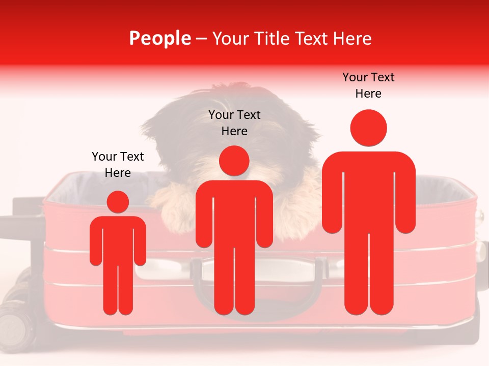 Puppy In The Suitcase PowerPoint Template