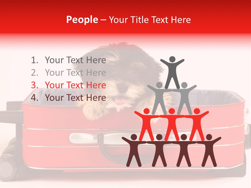 Puppy In The Suitcase PowerPoint Template