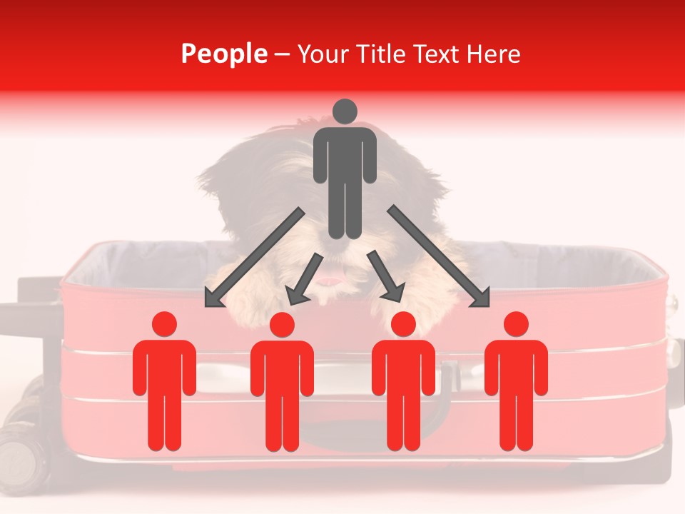 Puppy In The Suitcase PowerPoint Template