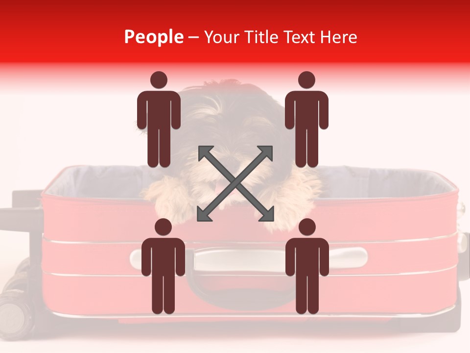 Puppy In The Suitcase PowerPoint Template