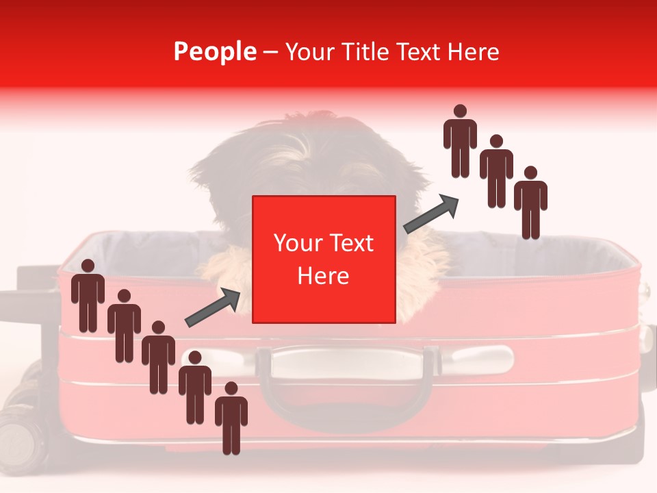 Puppy In The Suitcase PowerPoint Template