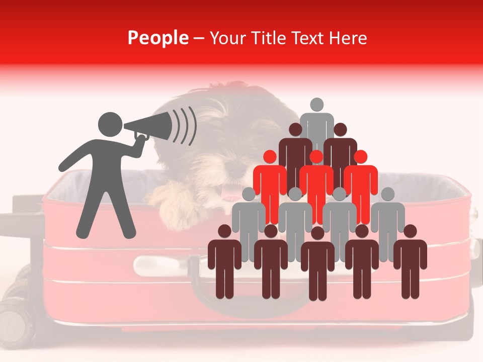 Puppy In The Suitcase PowerPoint Template