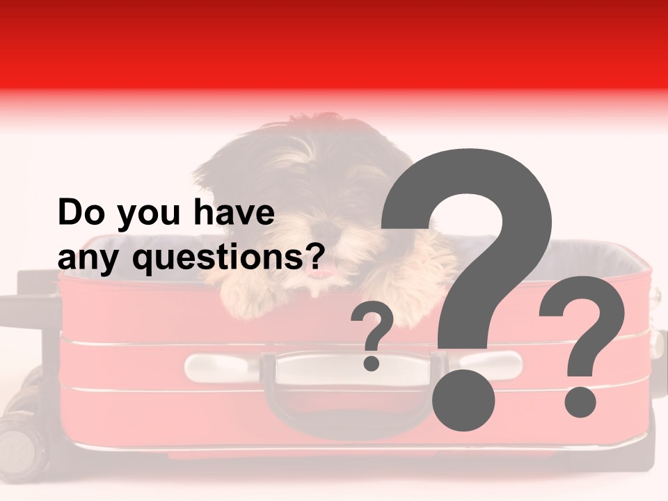 Puppy In The Suitcase PowerPoint Template