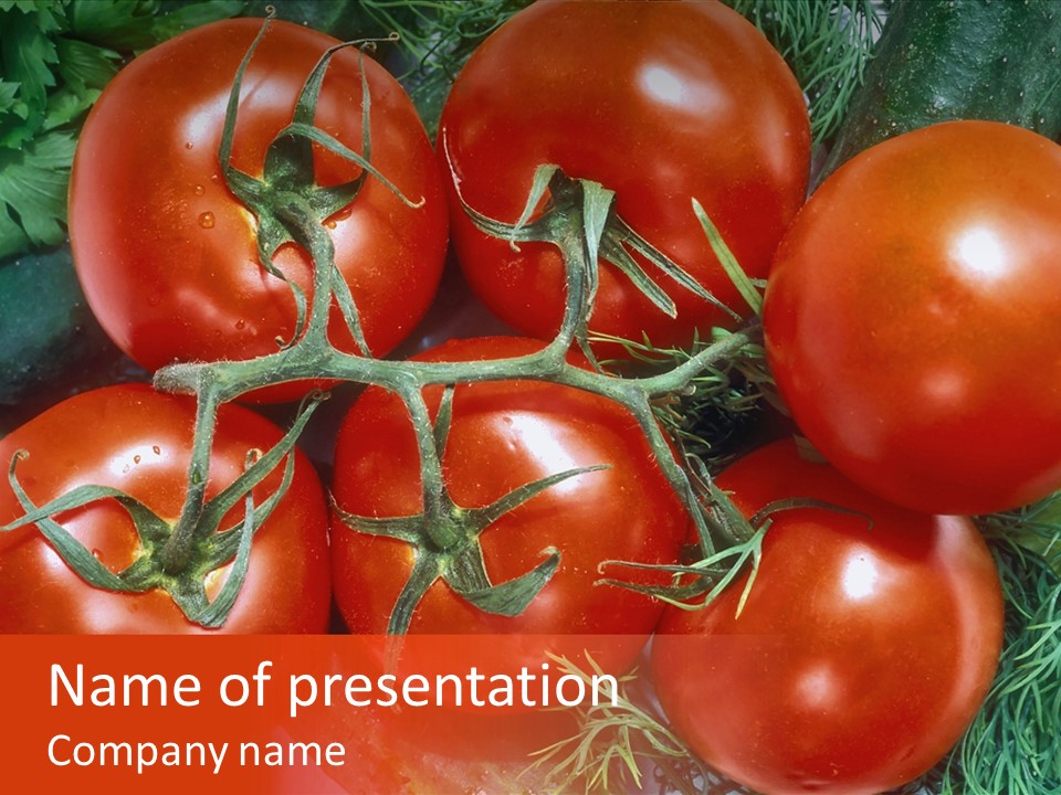 Tomato Branch Close Up PowerPoint Template