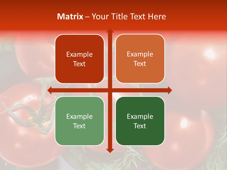 Tomato Branch Close Up PowerPoint Template
