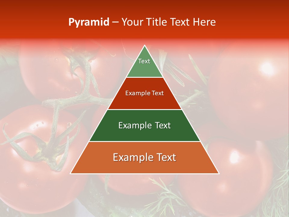 Tomato Branch Close Up PowerPoint Template