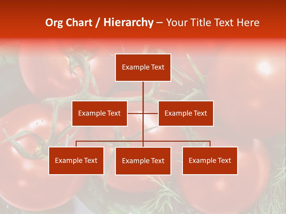 Tomato Branch Close Up PowerPoint Template