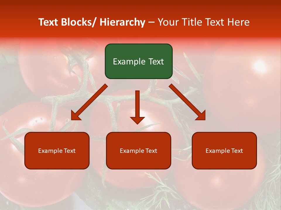 Tomato Branch Close Up PowerPoint Template