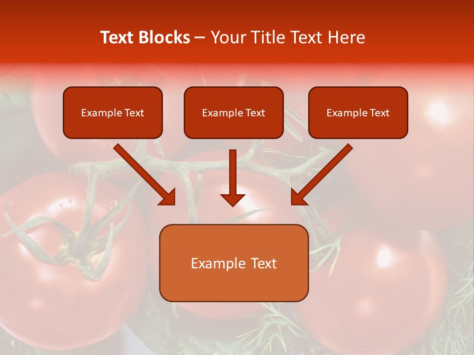 Tomato Branch Close Up PowerPoint Template