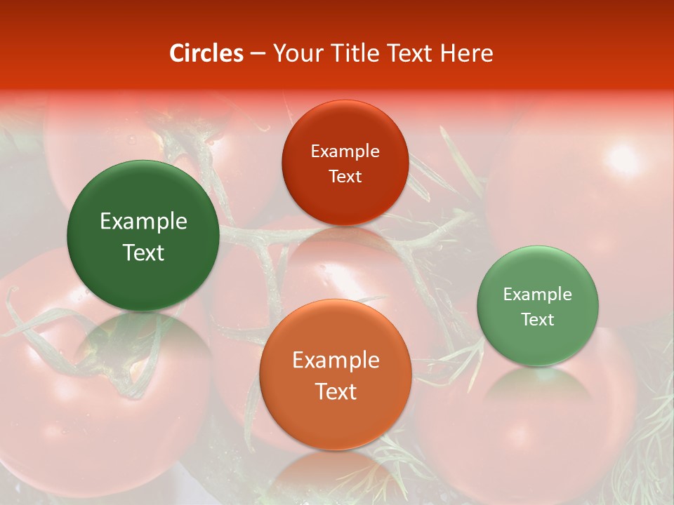 Tomato Branch Close Up PowerPoint Template
