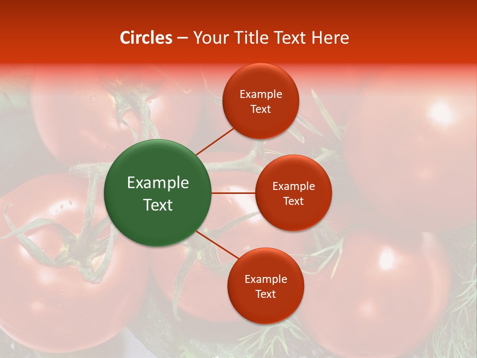 Tomato Branch Close Up PowerPoint Template